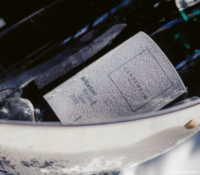 Winzerabend 12.05.2023
